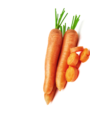 files/carrots-carrots-with-tops-leaves-isolated-nature-carrot_1.png